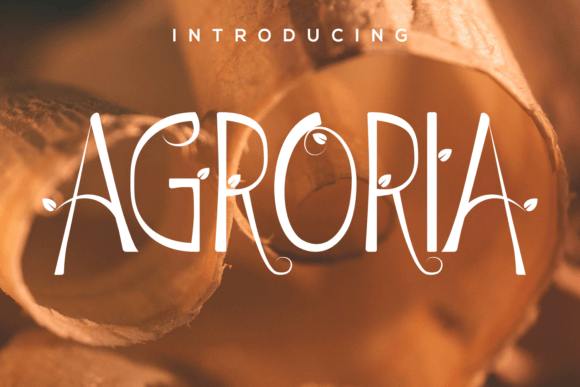 Agroria: The Elegant Display Font for Modern Campaigns