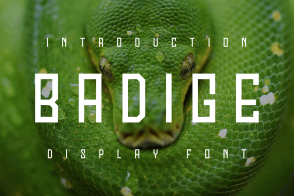 Badige: A Modern Font That Transforms Branding for Small Businesses
