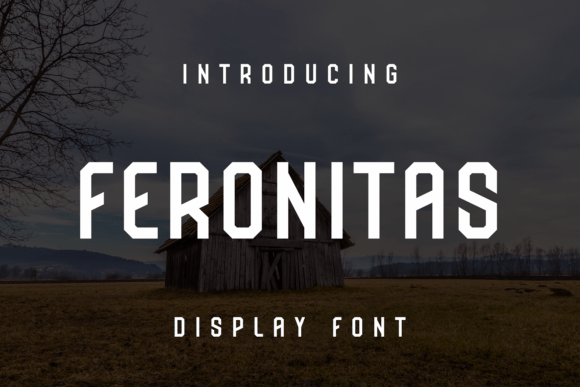 Feronitas Font for Handmade Creations and More