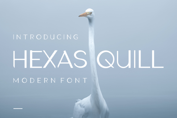Hexas Quill: A Modern Font for Business Branding
