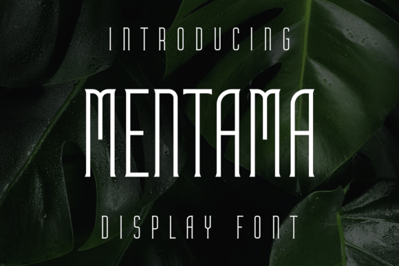 Mentama: A Display Font for Editorial Elegance