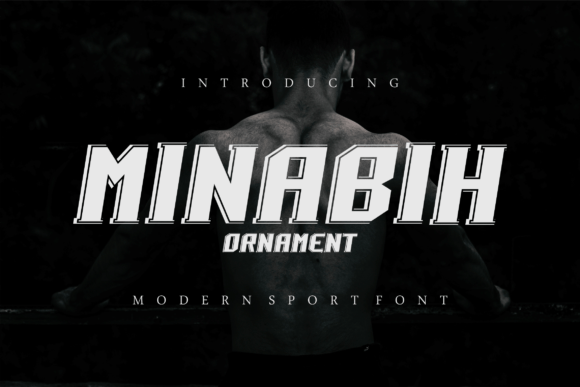 Minabih Ornament Font Review and Download Guide