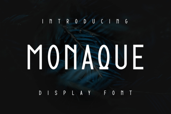 Monaque: A Cool Display Font for Business Branding