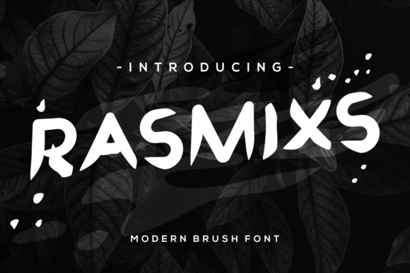 Rasmixs Display Font for Editorial Design