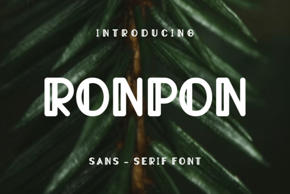 Ronpon Display Font for Modern Web Design