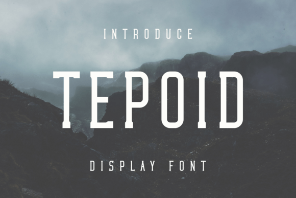 Tepoid: A Cool Display Font for Creative Branding Projects